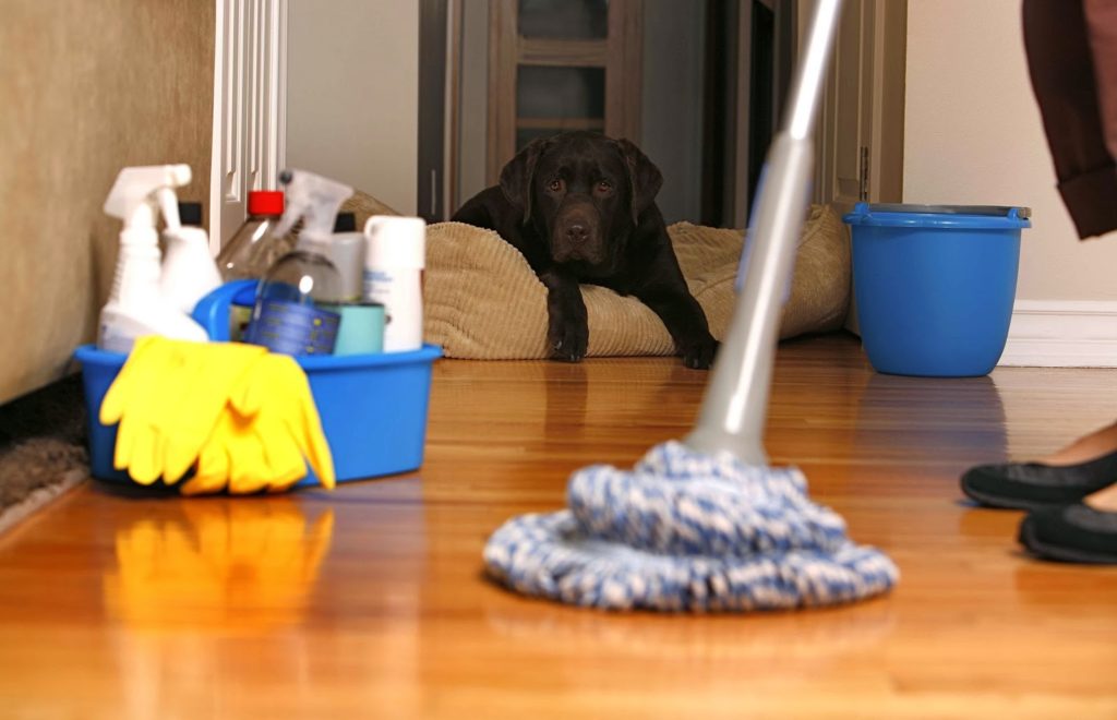 Surfaces that need to be de-sanitized as often as possible