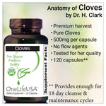OneLifeUSA