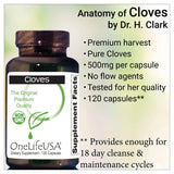 OneLifeUSA